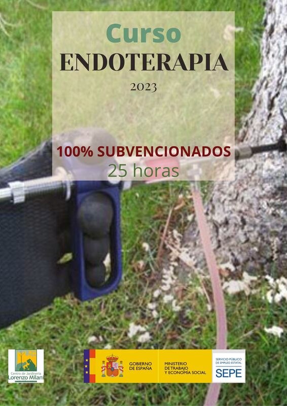 Endoterapia