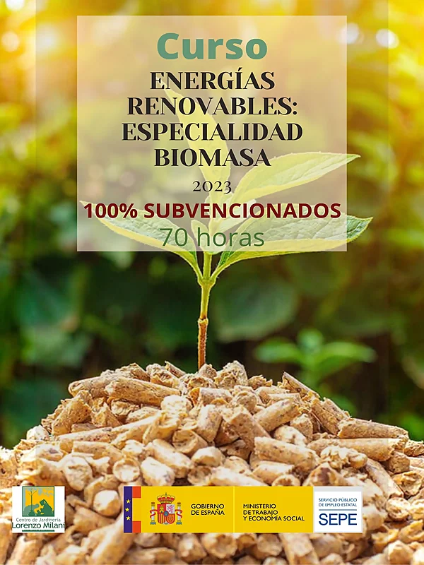 Energías renovables: Especialidad Biomasa