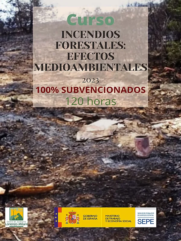 Incendios forestales efectos medioambientales