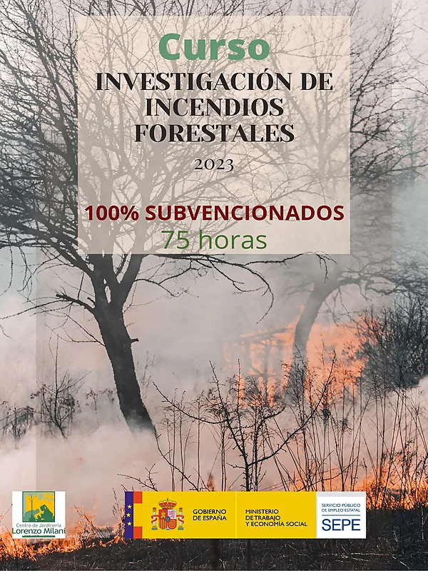 Investigación de incendios forestales